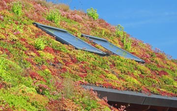 Hammarhill living roof systems