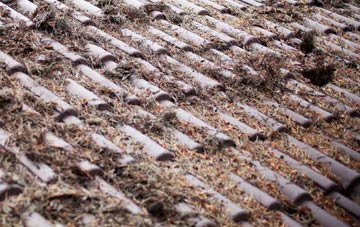 Hammarhill roof cleaning companies