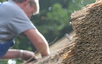 professional Hammarhill thatchers